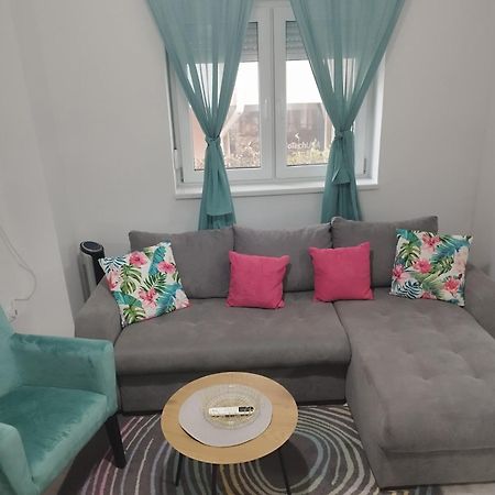 סמדרבו Apartman Radovic מראה חיצוני תמונה