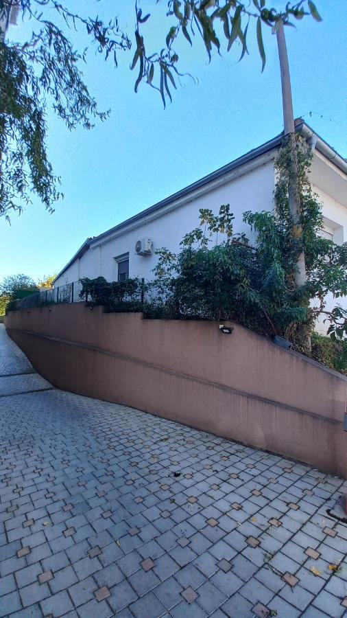 סמדרבו Apartman Radovic מראה חיצוני תמונה