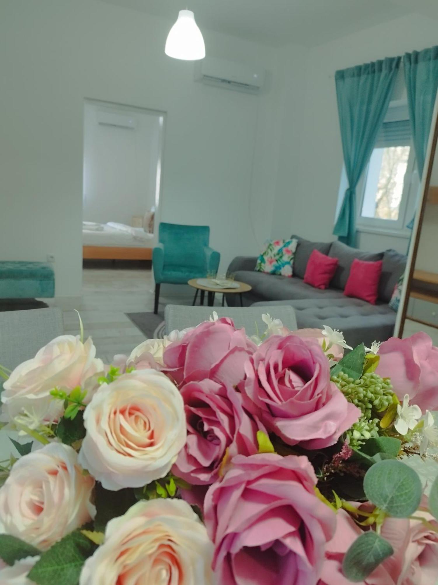 סמדרבו Apartman Radovic מראה חיצוני תמונה