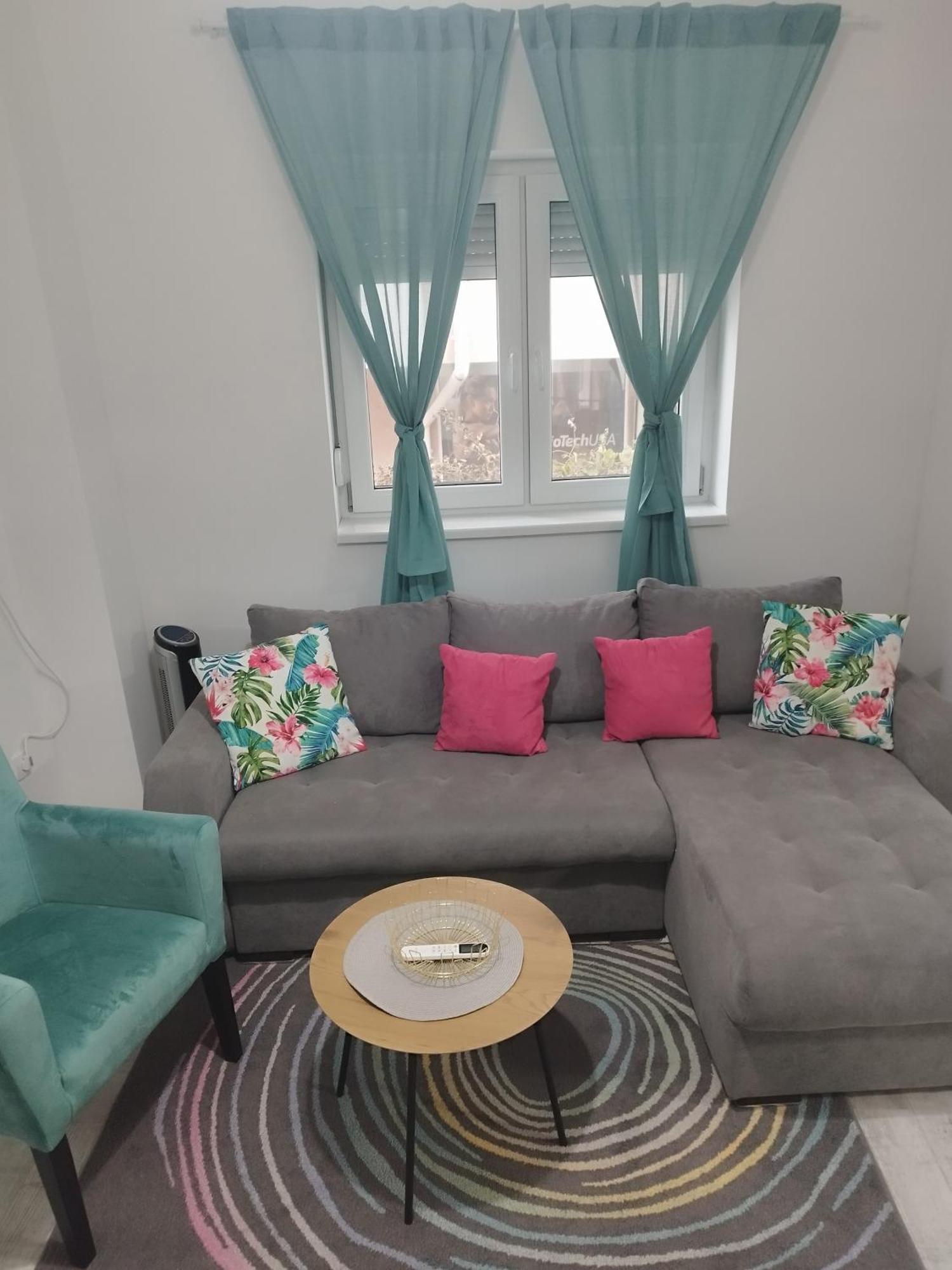 סמדרבו Apartman Radovic מראה חיצוני תמונה